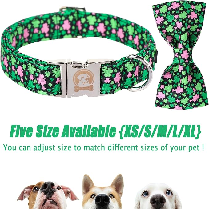 MR. CHUBBYFACE St.Patrick's Pink Green Clover Dog Collar - Image 3