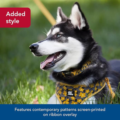 Coastal Pet - Ribbon - Adjustable Dog Collar - Image 4