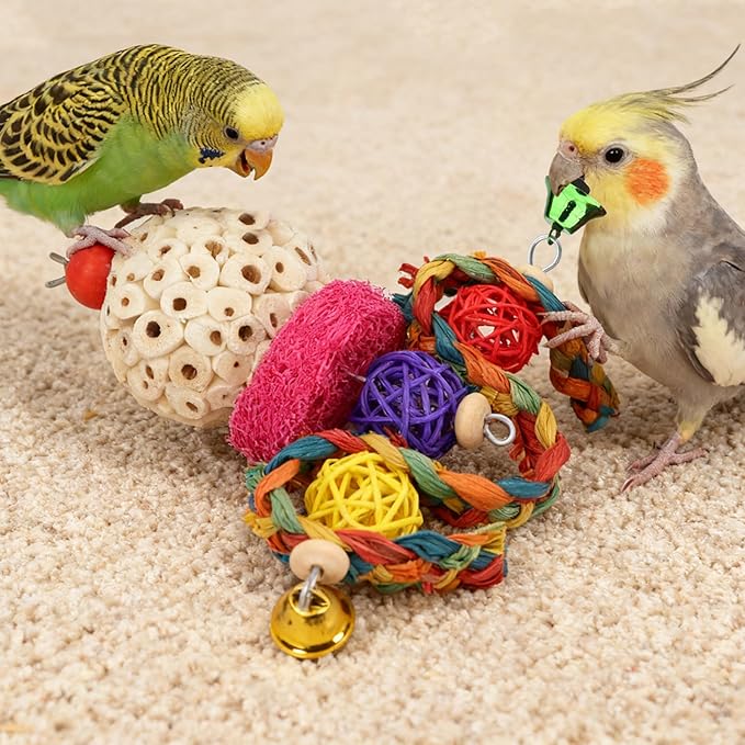 Wontee Bird Toys 3 Pack Parrot Foraging Hanging Toys Sola Ball Natural Nuts - Image 6