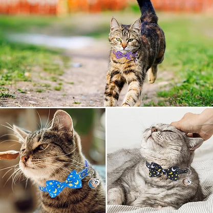 SCENEREAL Breakaway Cat Collar - Image 5