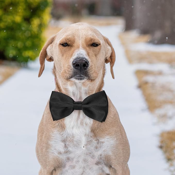 KOOLMOX Light Blue Dog Bow Tie, 2 Pack - Image 8