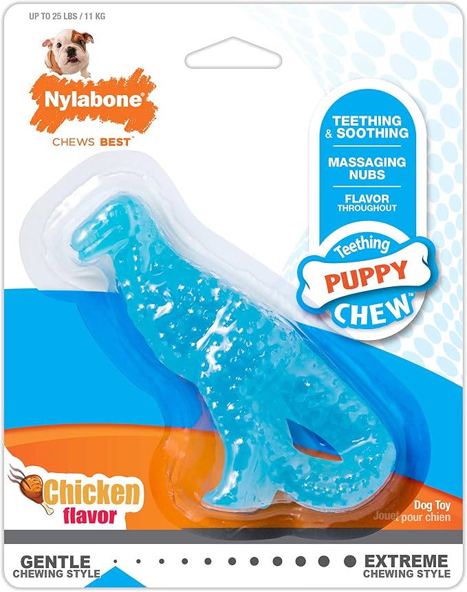 Nylabone Dental Dinosaur Puppy Power Chew Toy, Soothing Puppy Teething Bone - Image 8