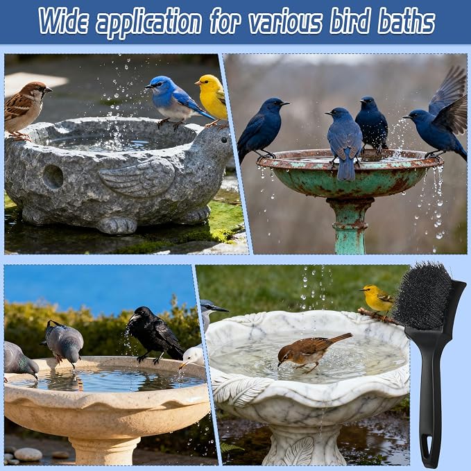2 Pcs Bird Bath Brush Black Hard Bristle Cleaning Brush - Image 5