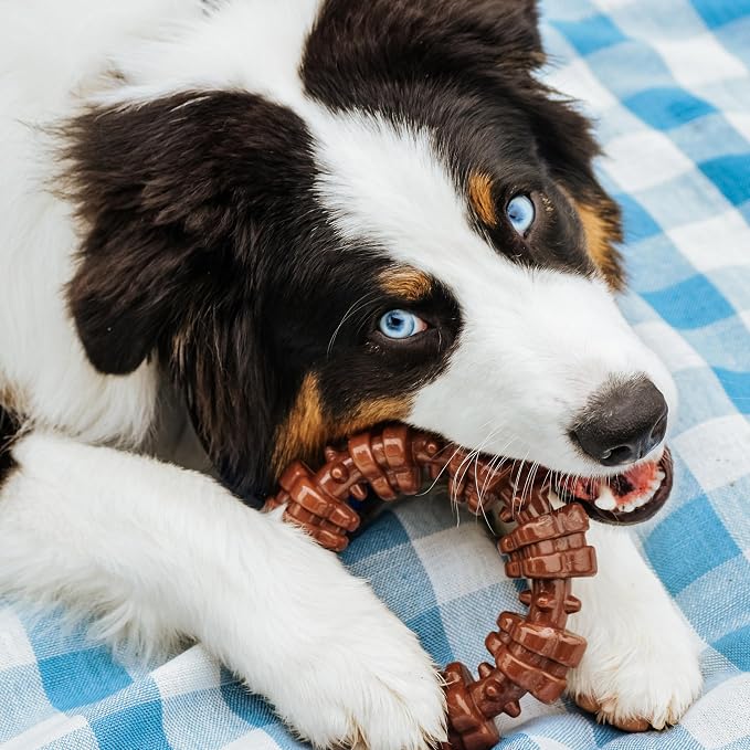 Nylabone Textured Ring Power Chew Toy - Image 2