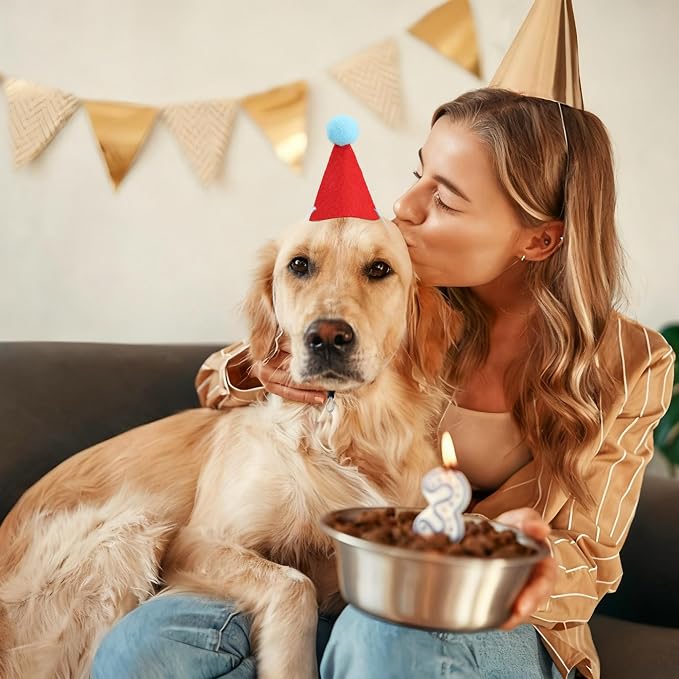 12 PCS Mini Party Hats for Stuffed Animals Birthday Felt Cone Hat - Image 6