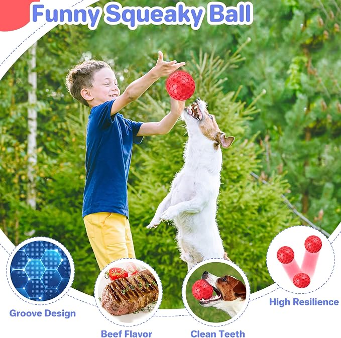 Interactive Squeaky Dog Balls Puppy Toys, Dog Toys - Image 4