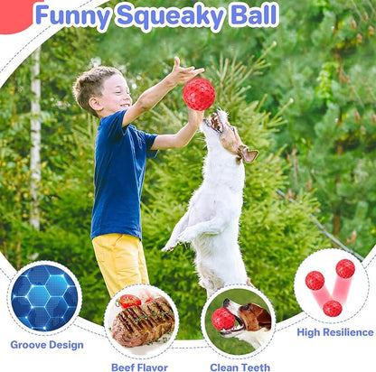 Interactive Squeaky Dog Balls Puppy Toys, Dog Toys - Image 4