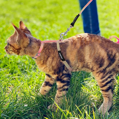 TIESOME Cat Harness and Leash Set, Adjustable Gradient Kitten Harness Escape - Image 7