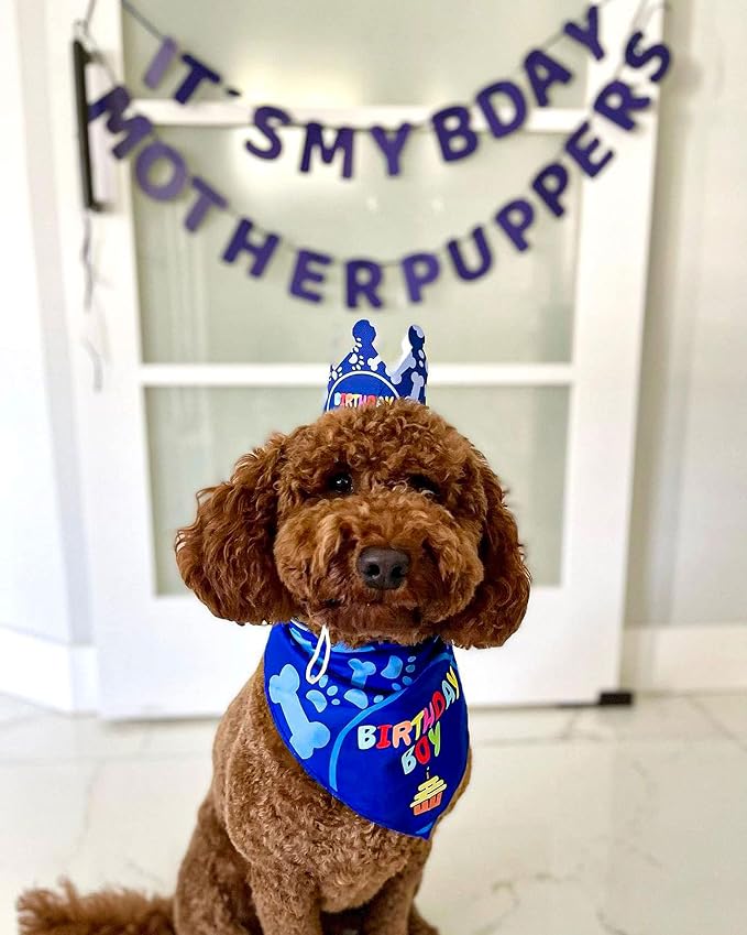 Dog Birthday Party Decorations - Image 4