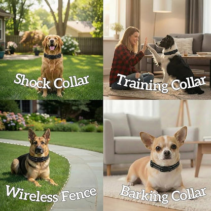 Dog Training Collar Replacement and Shock Collar Strap - Image 7