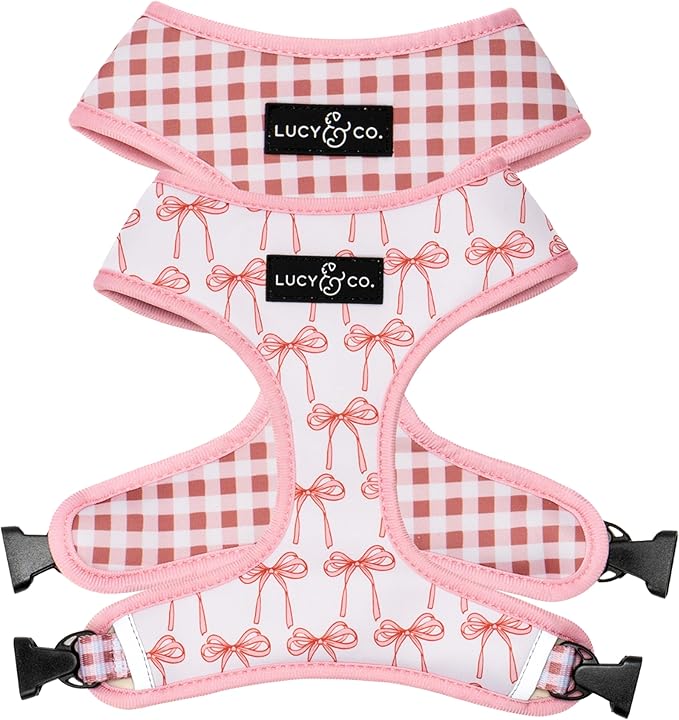 Lucy & Co. Cute Reversible Dog Harness Walking Halter by LucyCo