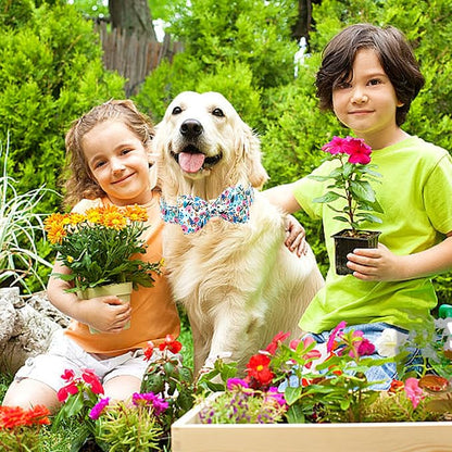 Lionheart glory Dog Collar Bow Collar Floral Dog Collar - Image 3