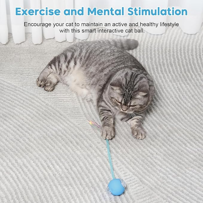 Interactive Cat Toys for Indoor Cats & Dogs, Agile Moving Cat Ball - Image 9