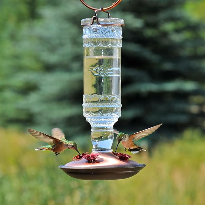 Perky-Pet Antique Glass Bottle Hummingbird Feeder - Image 9