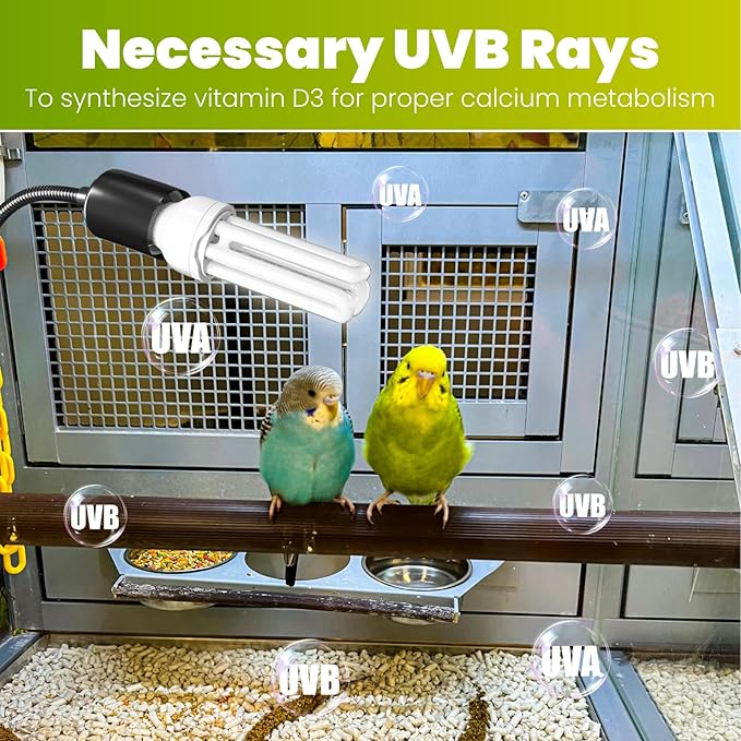GlowUp Bird Cage Lighting Combo Kit, Clip Lamp - Image 3