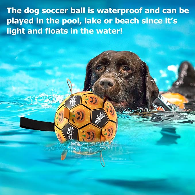 QDAN Halloween Dog Toys, Soccer Balls, Interactive Pet Toys, Puppy Dogs - Image 4