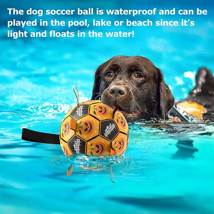 QDAN Halloween Dog Toys, Soccer Balls, Interactive Pet Toys, Puppy Dogs - Image 4