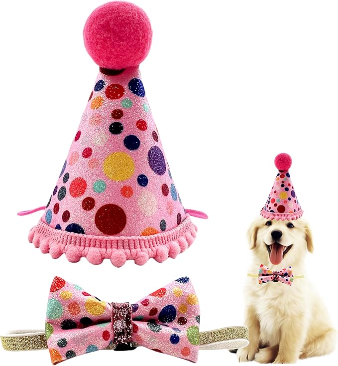 Christmas Pet Party Jazz Hat and Blingbling Bow Tie Breakaway Collar Set by Arogheiz