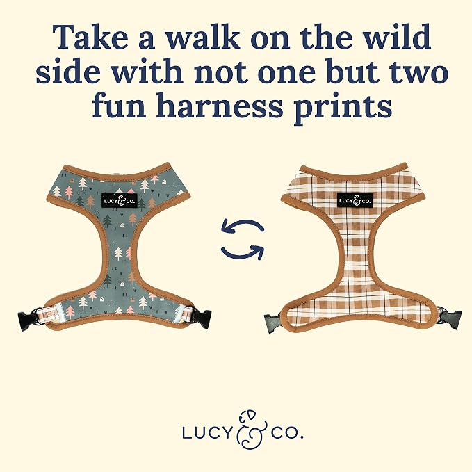 Lucy & Co. Take a Hike Reversible Dog Harness - Image 5