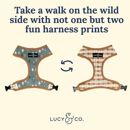 Lucy & Co. Take a Hike Reversible Dog Harness - Image 5