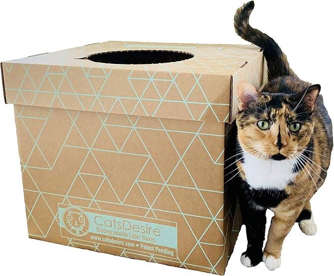Cats Desire Litter Box - Image 8