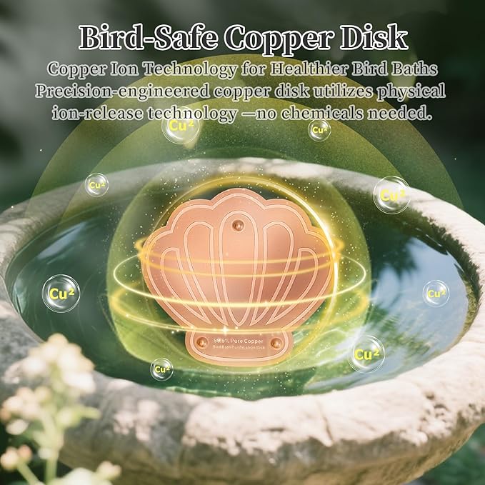 Bird Bath Copper Disk 2 Pack, 99.9% Pure Copper - Image 3
