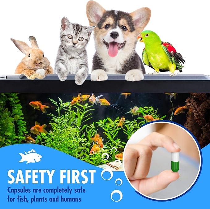 Bio Capsules Fish Tank Water Cleaner - Image 5