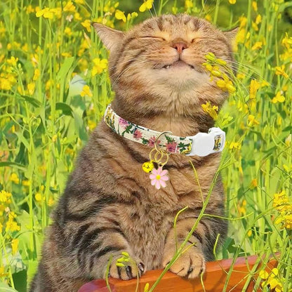 2 Pack Cotton Breakaway Cat Collars Set - Image 5