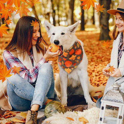 Abbylike 50 Pcs Fall Thanksgiving Dog Bandanas Bulk Pumpkin Bandanas - Image 7