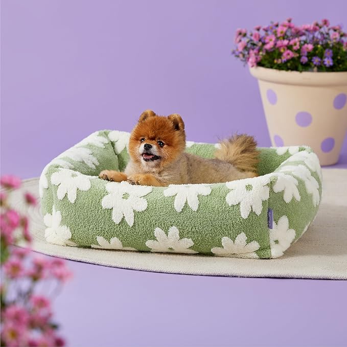 LE SURE Cute Dog Bed for Small Dogs - Image 6
