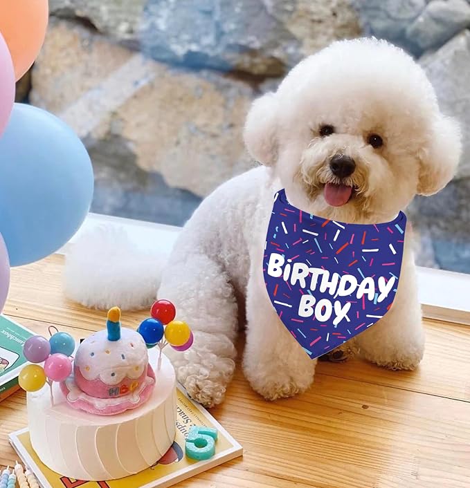 Birthday Boy Dog Bandanas 1 Pack, Pet Scarves - Image 6