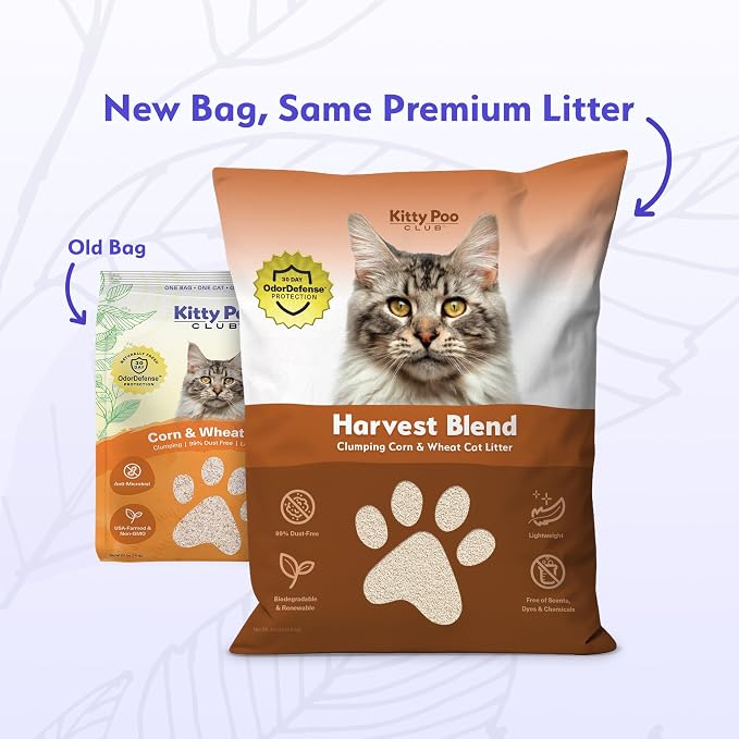 Kitty Poo Club Leakproof Disposable 2-Pack Cat Litter Box - Image 3