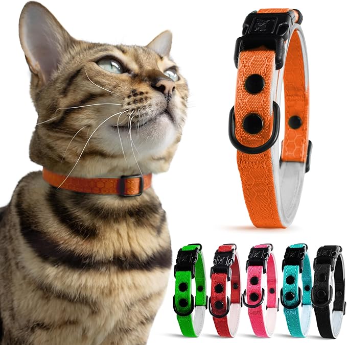 OutdoorBengal Orange Breakaway Kitten Collar by OutdoorBengal