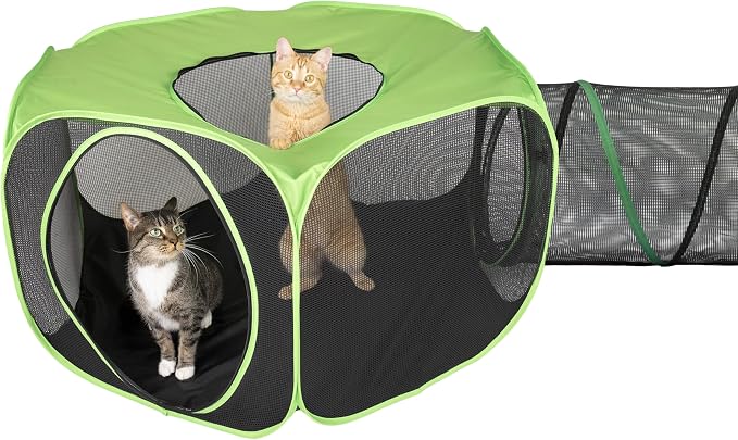 Kitty City Outdoor Catio Furniture and Play Kits by KittyCity