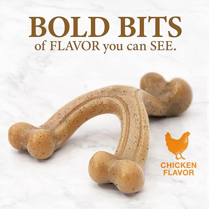 Nylabone Gourmet Style Wishbone Strong Chew Toy - Image 6