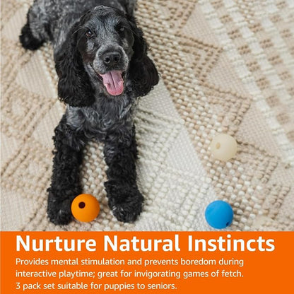 Amazon Basics Interactive Bouncy Durable Rubber Dog Toy Balls, 2.5 inch - Image 9