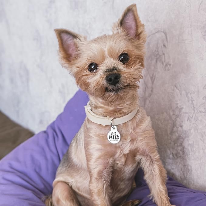 Stainless Steel Engraved Pet ID Tags - Image 7