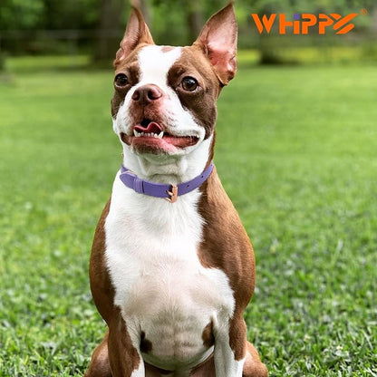 WHIPPY Leather Dog Collar for Small Medium Large Dog Adjustable Soft Breathable - Image 5
