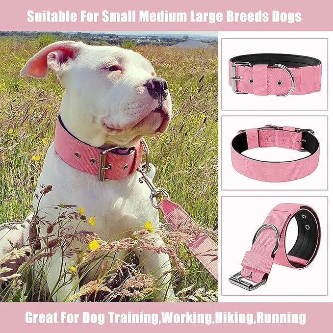 Heavy Duty Tactical Dog Collar - Image 8