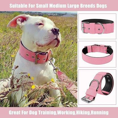 Heavy Duty Tactical Dog Collar - Image 8