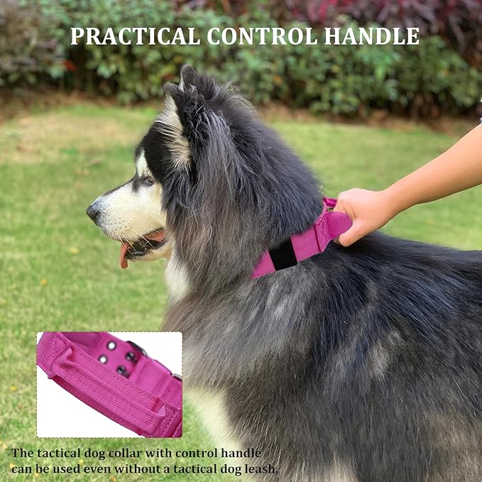 Tactical Dog Collar with Handle, Military Adjustable Heavy Duty Metal Buckle - Image 6
