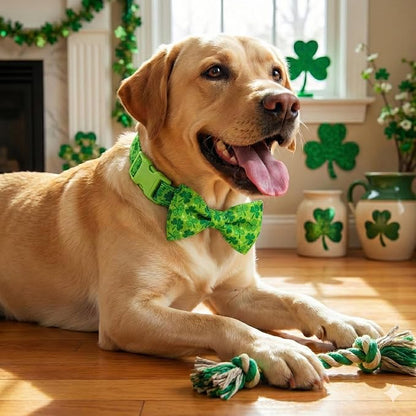 St. Patrick's Day Dog Collar - Image 6