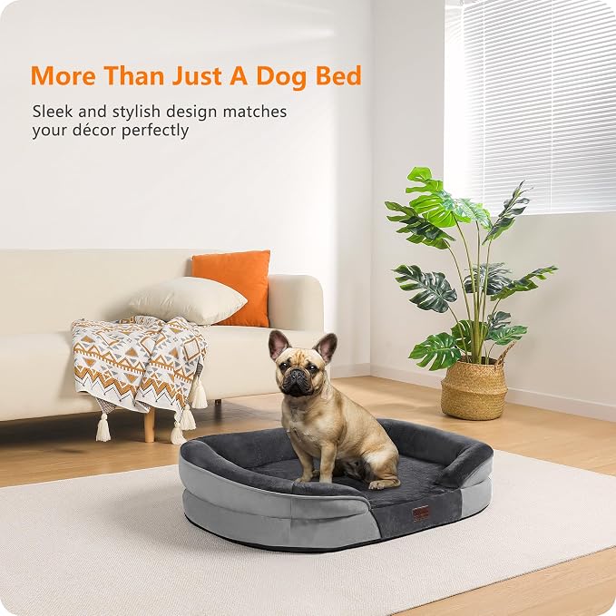 Dwanton Orthopedic Dog Bed for Medium Dogs - Image 2