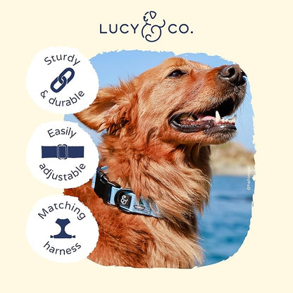 Lucy & Co. Set Sail Adjustable Dog Collar- Cute Designer Pet Collar - Image 3