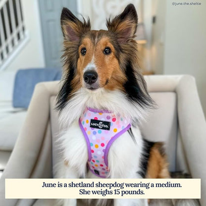 Lucy & Co. Cute Reversible Dog Harness Walking Halter - Image 5