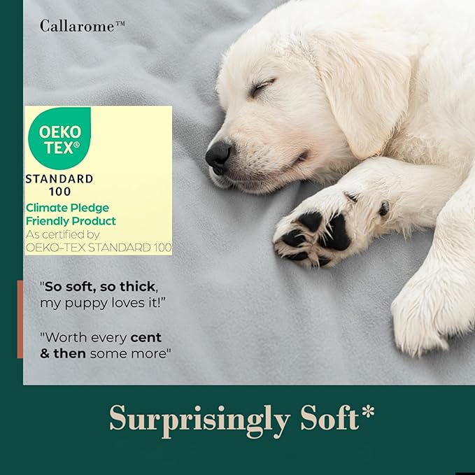 Waterproof Dog Blanket - Image 4