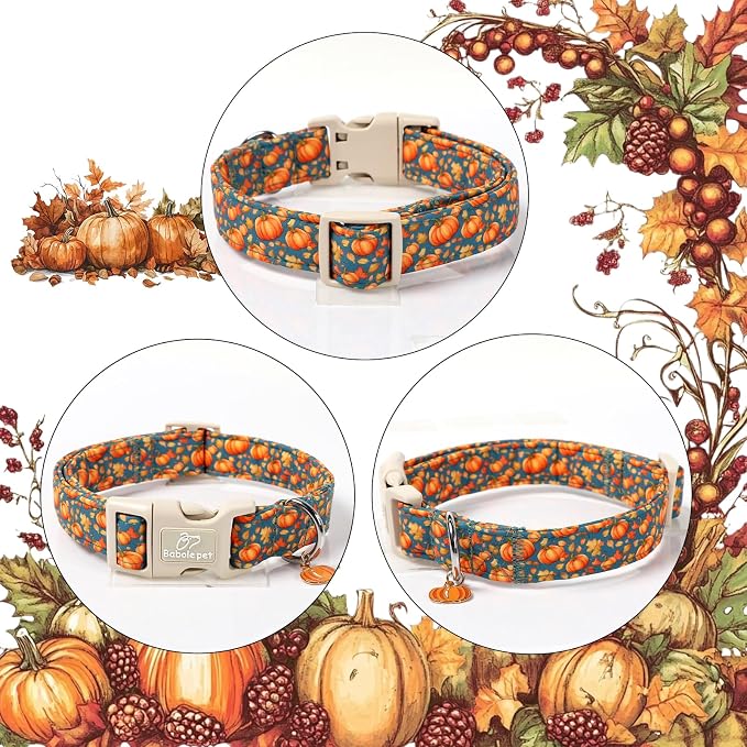 Fall Dog Collar Cute Autumn Pumpkin Puppy Collar - Image 6