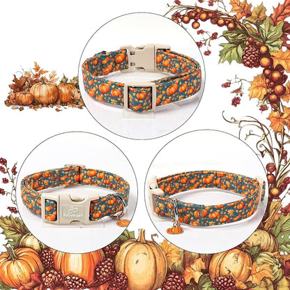 Fall Dog Collar Cute Autumn Pumpkin Puppy Collar - Image 6
