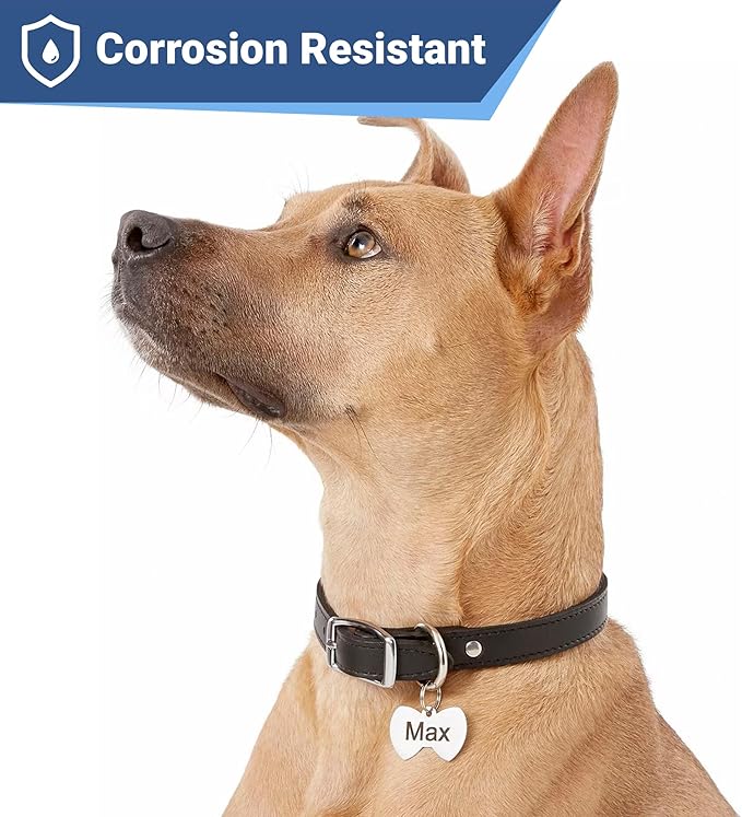 GoTags Stainless Steel Pet ID Tags, Personalized Dog Tags and Cat Tags - Image 4