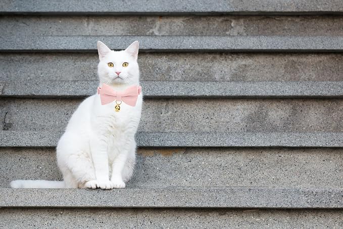 Soft Corduroy Cat Collar with Bell and Bowtie, Safety Breakaway Clasp, - Image 5